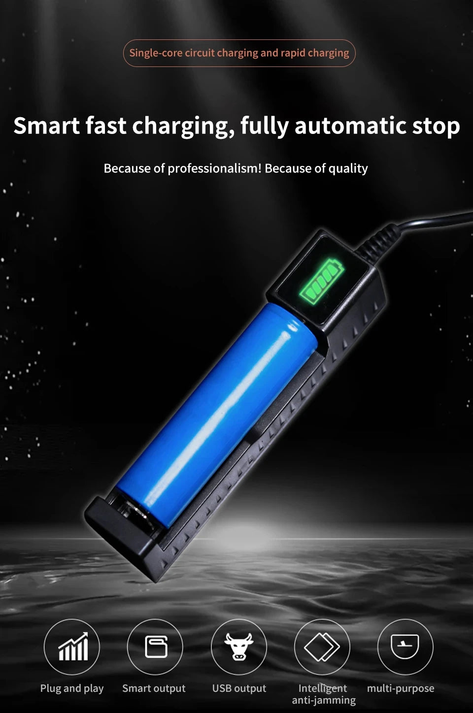 DualCharge 18650 Pro