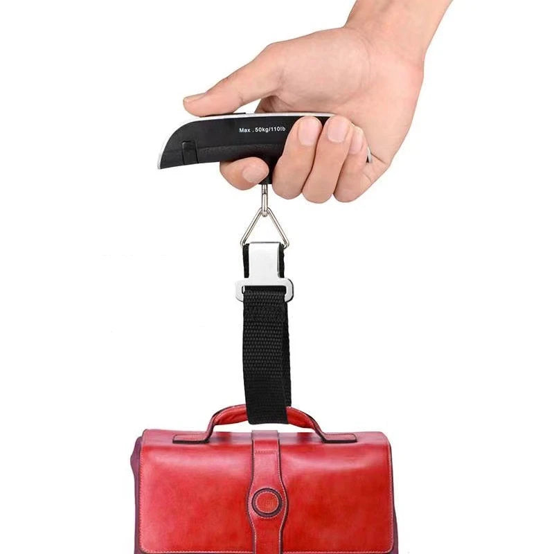 TravelScale Pro