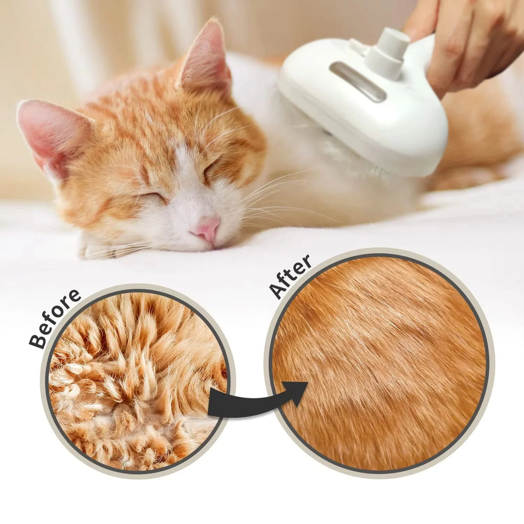 PawMist Brush