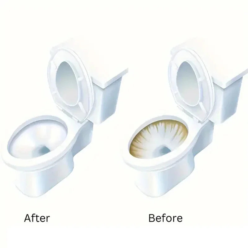 CleanFlow Magnetic Toilet System